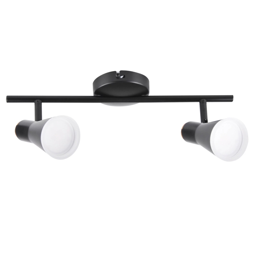 LED Oświetlenie punktowe BERG 2xLED/4,2W/230V czarne