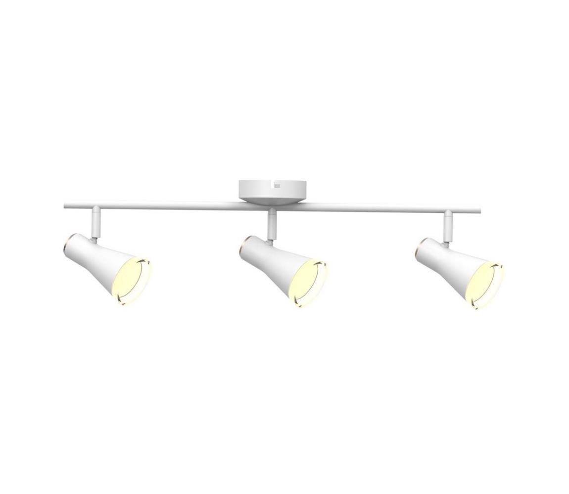 LED Oświetlenie punktowe BERG 3xLED/4,2W/230V białe