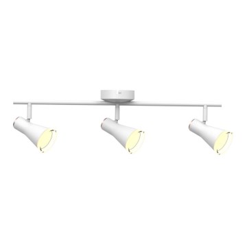 LED Oświetlenie punktowe BERG 3xLED/4,2W/230V białe