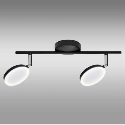 LED Oświetlenie punktowe CAPRI 2xLED/5W/230V