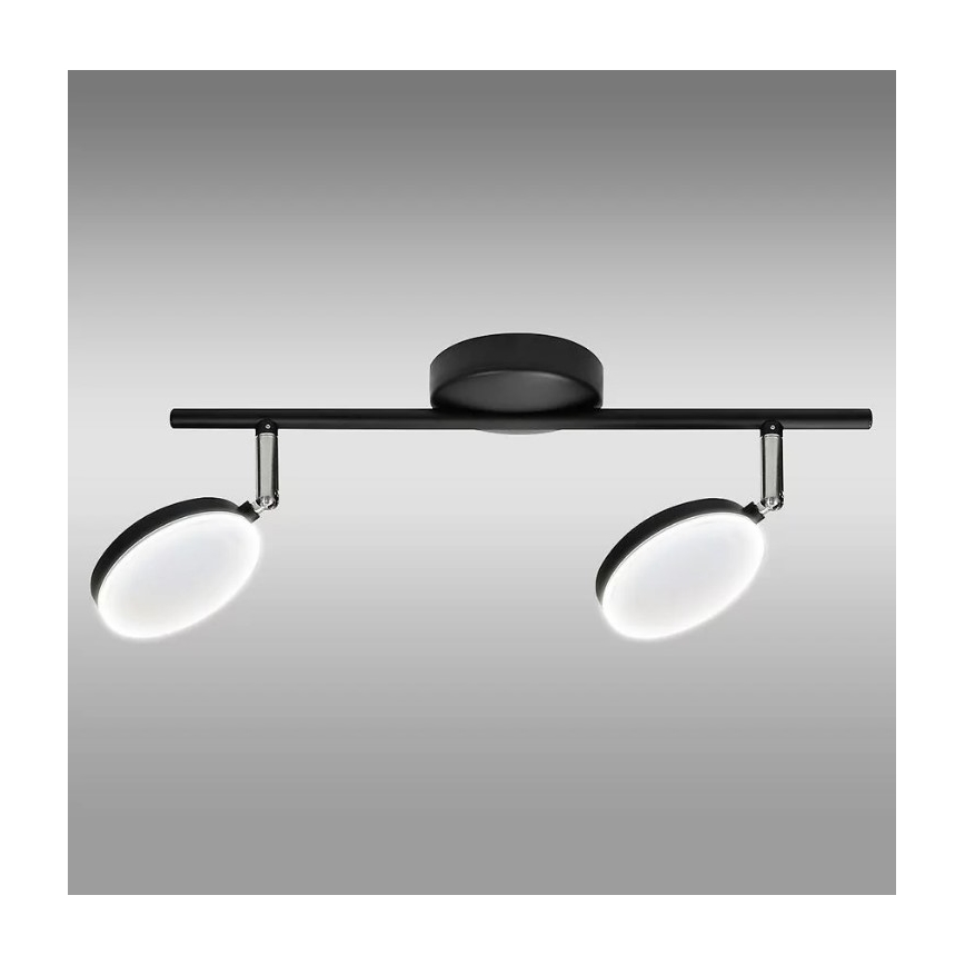 LED Oświetlenie punktowe CAPRI 2xLED/5W/230V