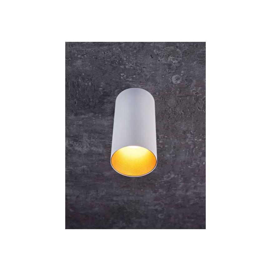 LED Oświetlenie punktowe HERMA LED/20W/230V