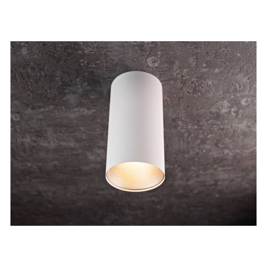 LED Oświetlenie punktowe HERMA LED/20W/230V
