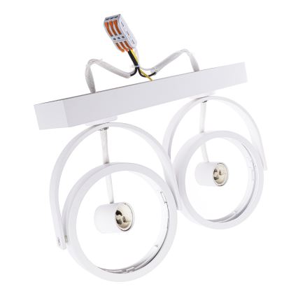 LED Oświetlenie punktowe LUGAR 2xAR111 - GU10/25W/230V