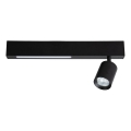 LED Oświetlenie punktowe MAGNET LED/5W/230V + 1xGU10/60W 3000/4000K czarny