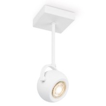 LED Oświetlenie punktowe ściemnialne NOP 1xGU10/5,8W/230V biały