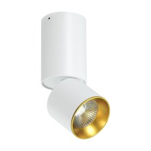 LED Oświetlenie punktowe sufitowe LED/10W/230V