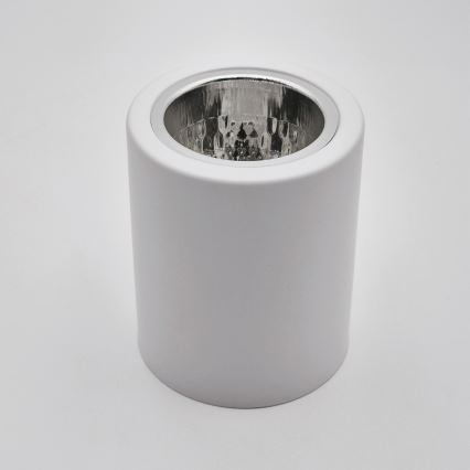 LED Oświetlenie punktowe TACO 1xE27/15W/230V białe