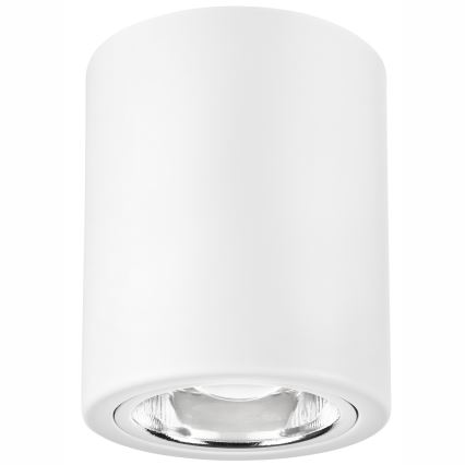 LED Oświetlenie punktowe TACO 1xE27/15W/230V białe