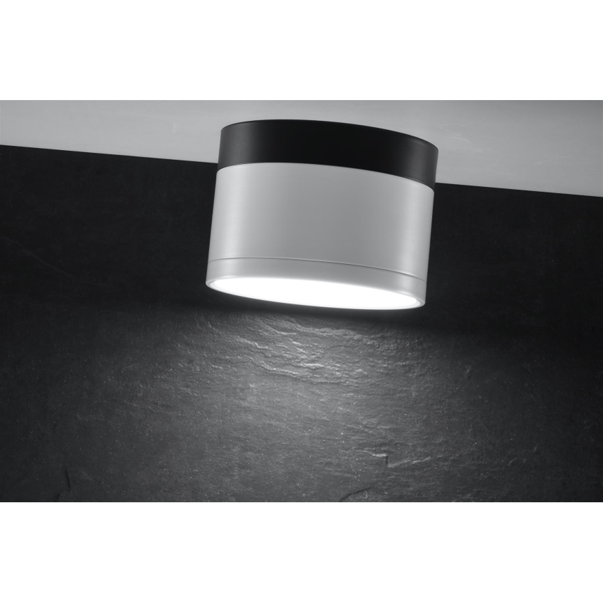LED Oświetlenie punktowe TUBA LED/9W/230V białe/czarne