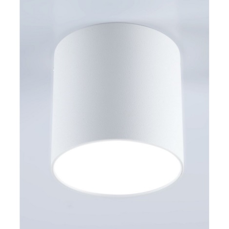 LED Oświetlenie punktowe TUBA POLO LED/4W/230V biały