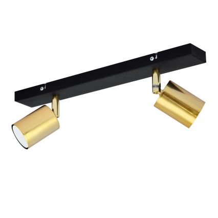 LED Oświetlenie punktowe TUNE 2xGU10/4,8W/230V złoty/czarny