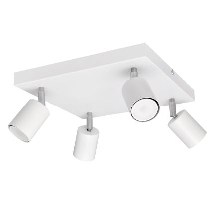 LED Oświetlenie punktowe TUNE 4xGU10/4,8W/230V biały