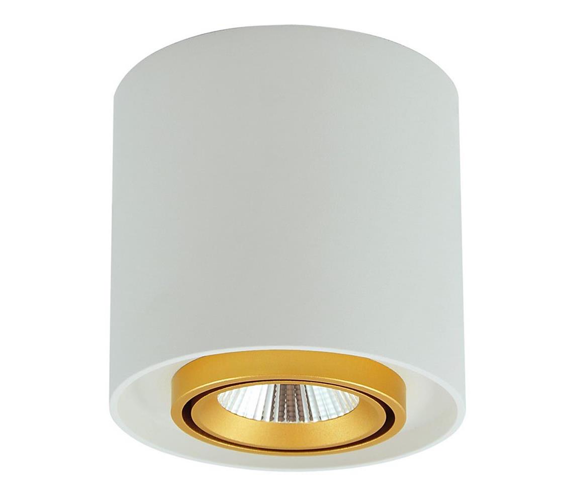 LED Oświetlenie punktowe XENO LED/15W/230V biały 1200lm