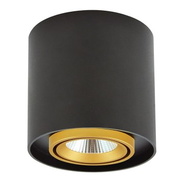 LED Oświetlenie punktowe XENO LED/15W/230V czarny 1200lm