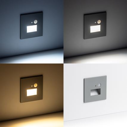 LED Oświetlenie schodowe z czujnikiem ruchu LED/1,5W/230V 3000K/4000K/6500K