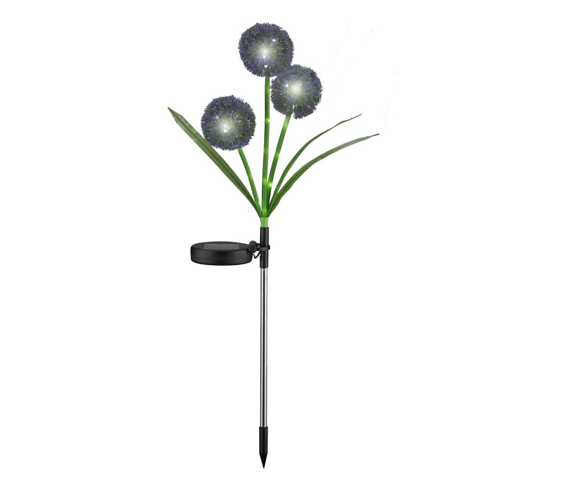 LED Oświetlenie solarne ALLIUM LED/1,2V 6500K 600 mAh IP44 czarne