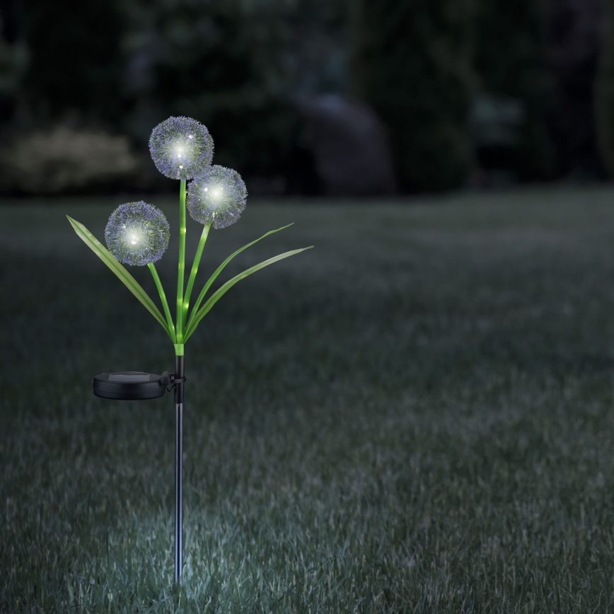 LED Oświetlenie solarne ALLIUM LED/1,2V 6500K 600 mAh IP44 czarne