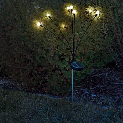 LED Oświetlenie solarne FIORINI 8xLED/1,2V 600 mAh IP44 czarny