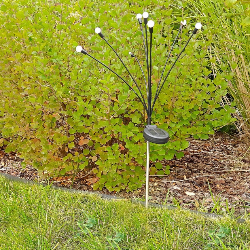 LED Oświetlenie solarne FIORINI 8xLED/1,2V 600 mAh IP44 czarny