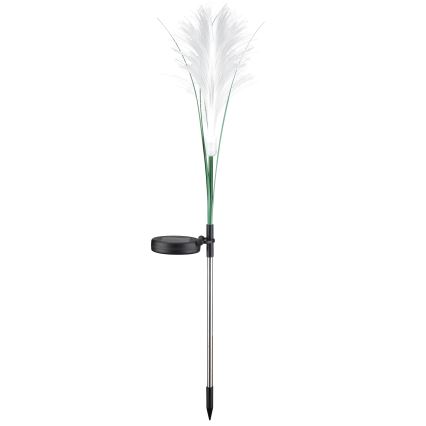 LED Oświetlenie solarne GRASS LED/1,2V 3000K 600 mAh IP44 czarne