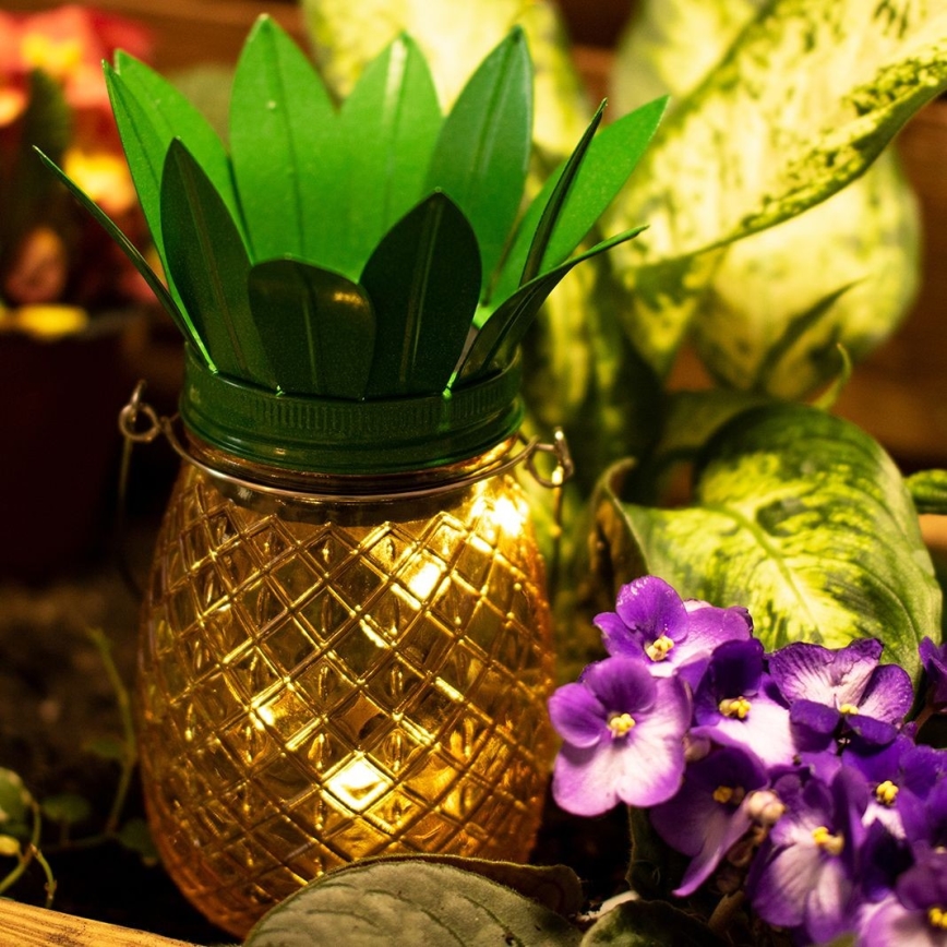 LED Oświetlenie solarne JAR LED/1,2V IP44 ananas