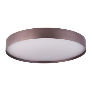 LED Oświetlenie sufitowe SOFIE LED/50W/230V