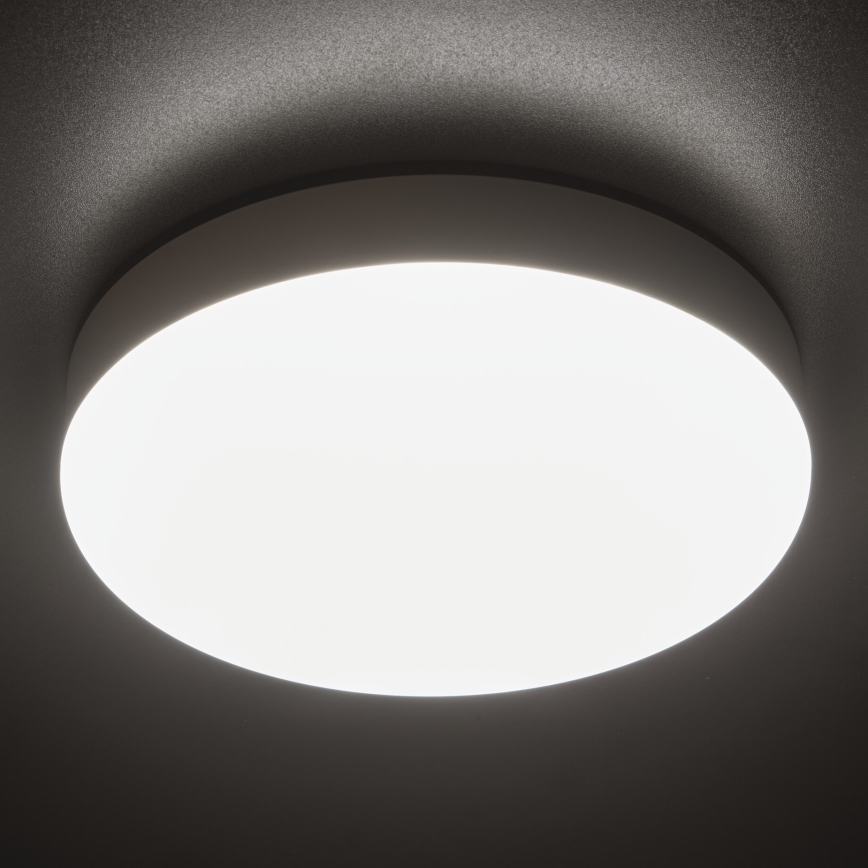 LED Oświetlenie techniczne sufitowe z czujnikiem ruchu IPER LED/19W/230V IK10 IP65 okrągłe białe