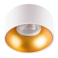 LED Oświetlenie wpuszczane MINI RITI 1xGU10/25W/230V białe/złote