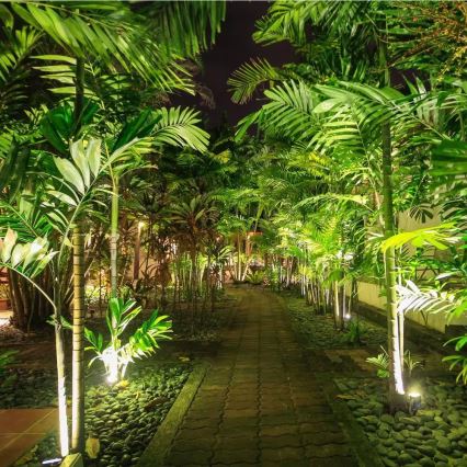 LED Oświetlenie zewnętrzne LED/12W/100-240V IP65 szary - zielony światło