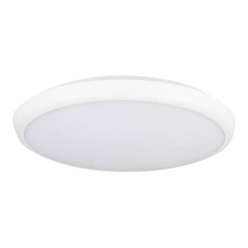 LED Oświetlenie zewnętrzne SAMSUNG CHIP LED/12W/230V 4000K IP65