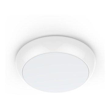 LED Oświetlenie zewnętrzne SAMSUNG CHIP LED/15W/230V 4000K IP65