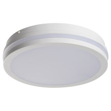 LED Oświetlenie zewnętrzne z czujnikiem BENO LED/24W/230V IP54 białe