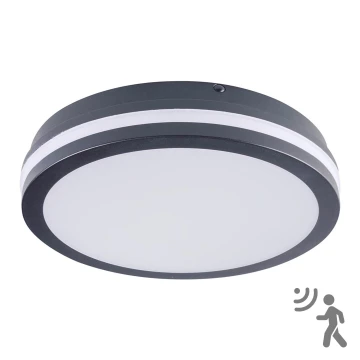 LED Oświetlenie zewnętrzne z czujnikiem BENO LED/24W/230V IP54 szare