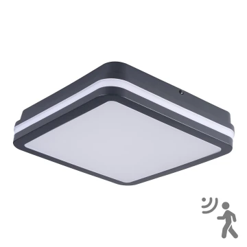 LED Oświetlenie zewnętrzne z czujnikiem BENO LED/24W/230V IP54 szare