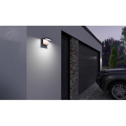 LED Kinkiet zewnętrzny z czujnikiem NATURA LED/12W/230V 4000K IP54 brązowy/antracyt