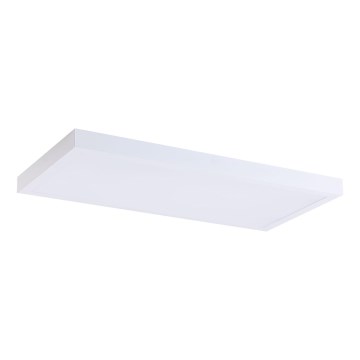 LED Panel LED/36W/230V 4000K 30x60 cm biały