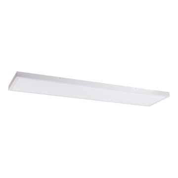 LED Panel LED/60W/230V 4000K 30x120 cm biały