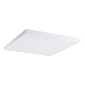 LED Panel LED/60W/230V 4000K 60x60 cm biały