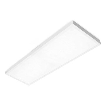 LED Panel natynkowy BRISBANE LED/36W/230V 4000K 29,5x119 cm biały