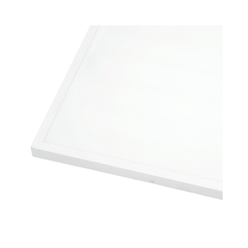LED Panel natynkowy BRISBANE LED/36W/230V 4000K 59,5x59,5 cm biały