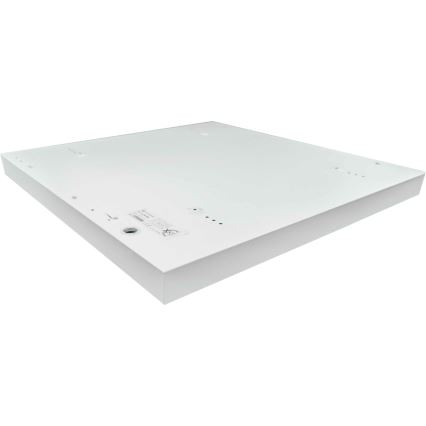 LED Panel natynkowy ILLY LED/36W/230V