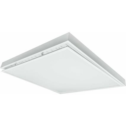 LED Panel natynkowy ILLY LED/36W/230V