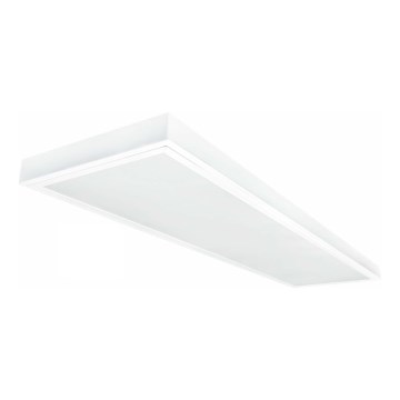 LED Panel natynkowy ILLY LED/36W/230V