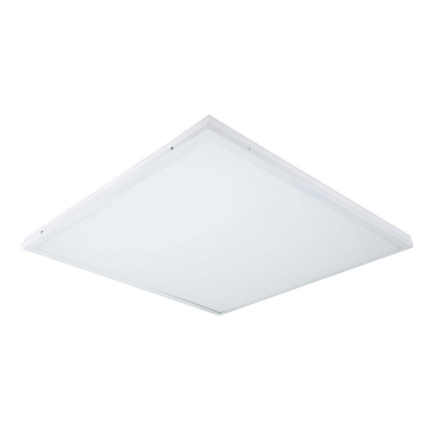 LED Panel natynkowy ILLY LED/42W/230V