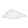 LED Panel natynkowy ILLY LED/42W/230V