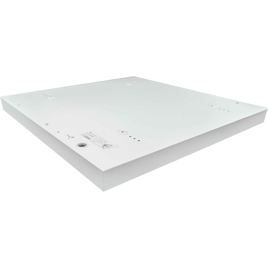LED Panel natynkowy ILLY LED/42W/230V