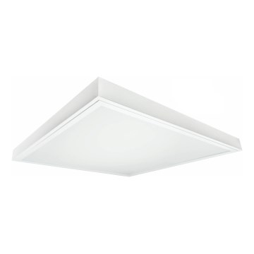 LED Panel natynkowy ILLY LED/46W/230V