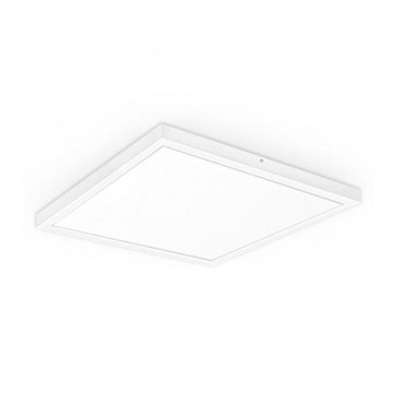 LED Panel natynkowy XELENT LED/50W/230V 4000K IP40