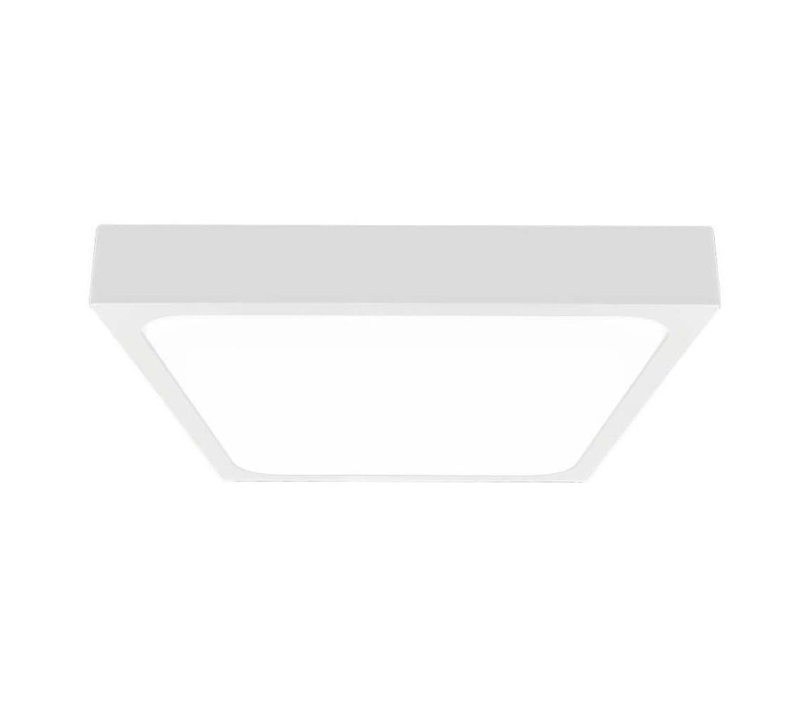 LED Plafon łazienkowy z czujnikiem LED/24W/230V 4000K IP44 biała +